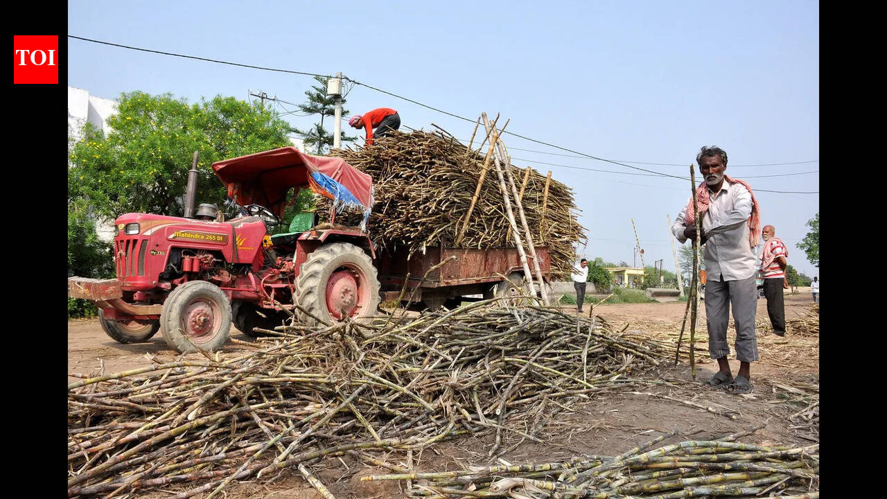 Erratic weather ravages crops, fruit trade