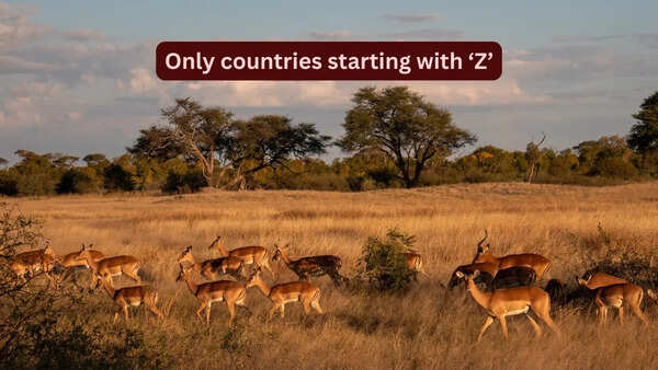 There are only 2 countries starting with &lsquo;Z&rsquo; and why travellers should explore them