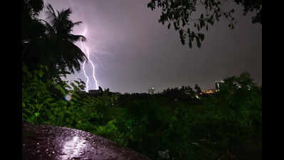 Lightning kills 30 sheep in Nagarkurnool