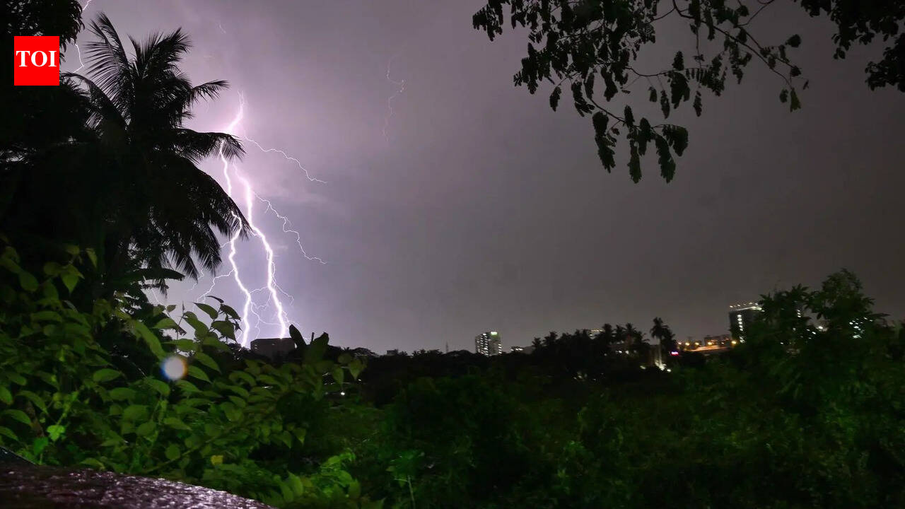 Lightning kills 30 sheep in Nagarkurnool