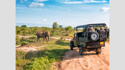 Kaziranga to halt jeep safari from May 25 as monsoon nears