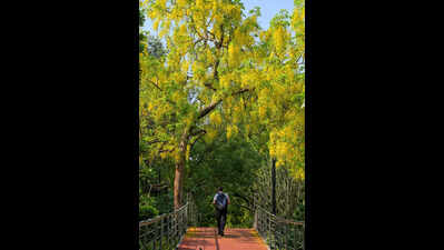 Delhi’s Hottest Season Comes Dressed In Yellow