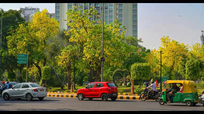 Delhi’s Hottest Season Comes Dressed In Yellow
