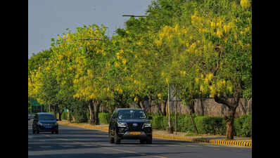 Delhi’s Hottest Season Comes Dressed In Yellow