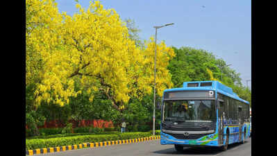 Delhi’s Hottest Season Comes Dressed In Yellow