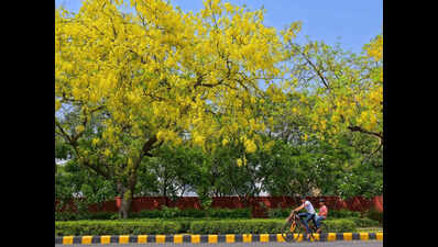 Delhi’s Hottest Season Comes Dressed In Yellow