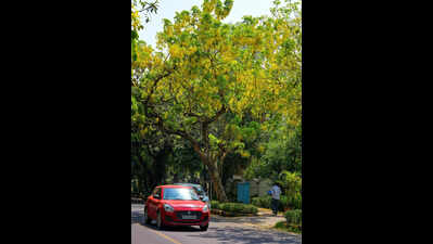 Delhi’s Hottest Season Comes Dressed In Yellow