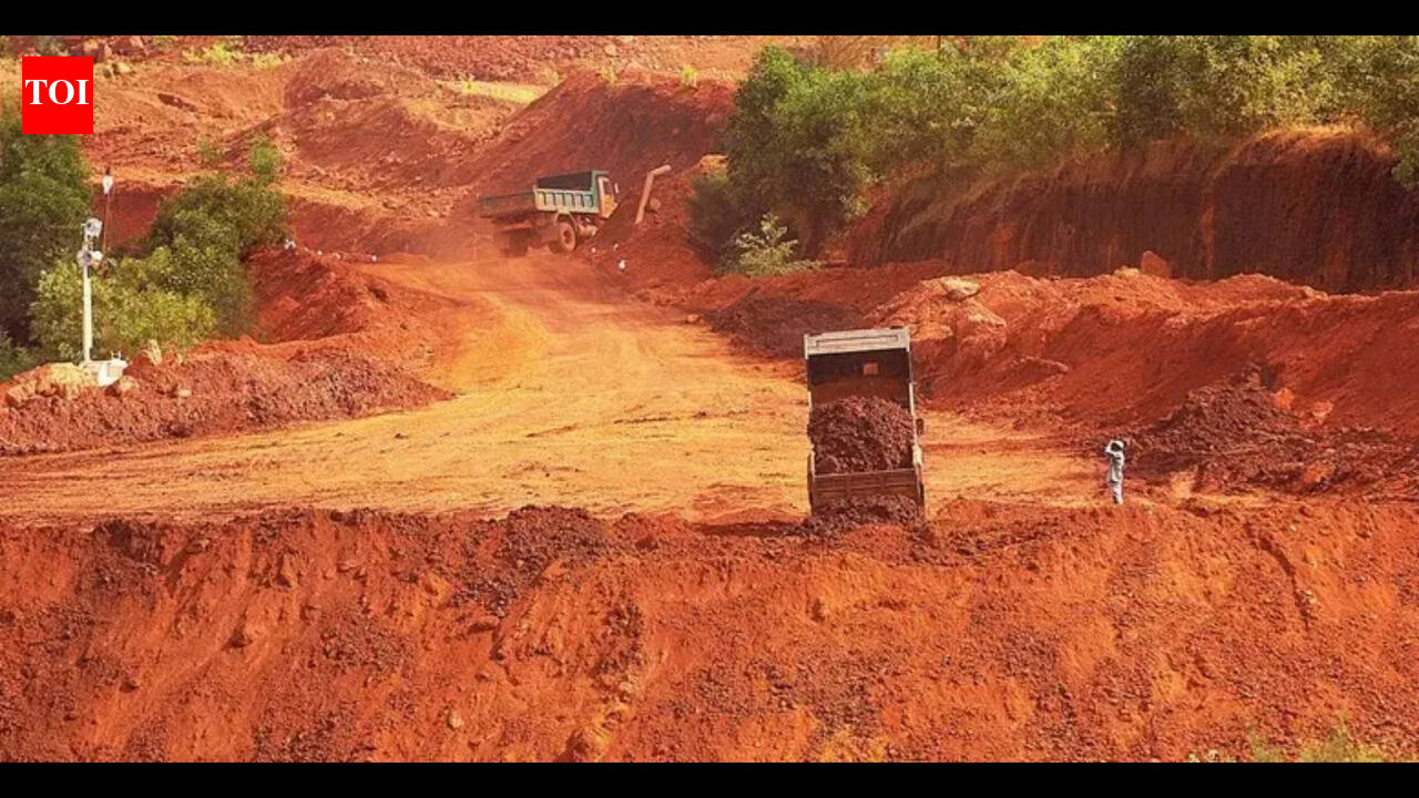 Govt to allocate dump ore for exports based on ECs