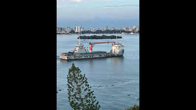 Orissa high court seeks clarification on handling of explosive chemical at ports