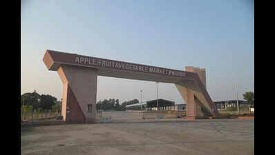 Pinjore fruit market revamp on cards, HSAMB moves to appoint consultant