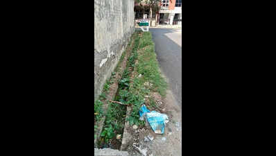 Xu to Pari Chowk, residents flag neglect of parks & footpaths