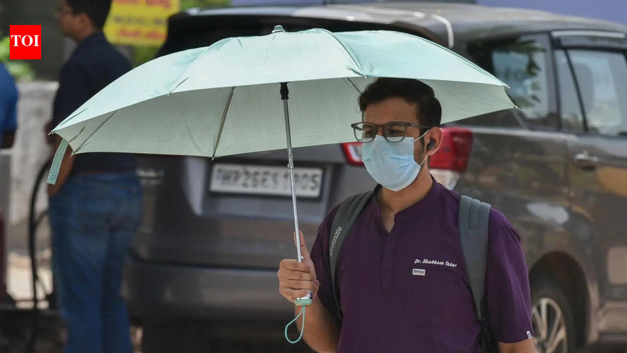 Heatwave likely in Haryana from May 18, maximum temperatures to rise by 3-4°C