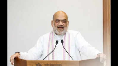 Shah likely to visit Bikaner to review border security