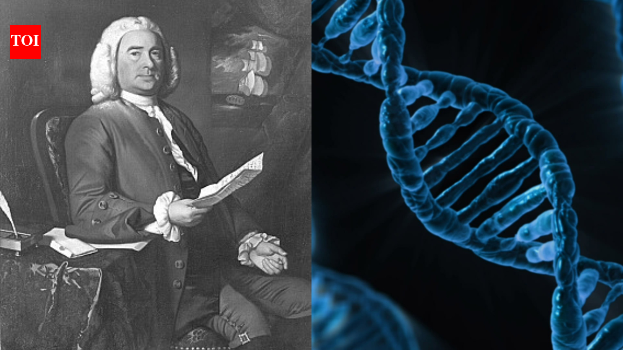 Scientists reveal more than 1.3 million people may share DNA with Maryland’s earliest colonists