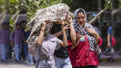 Midsummer madness: Delhi simmers, 2-day heatwave spell likely from Tuesday