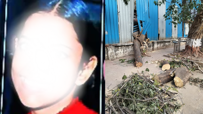 Mumbai’s Khar tree fall: A week later, brain-dead teen passes away; builder booked for culpable homicide