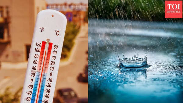 IMD forecasts monsoon rain in these south Indian states, and severe heat in north: What travellers need to know