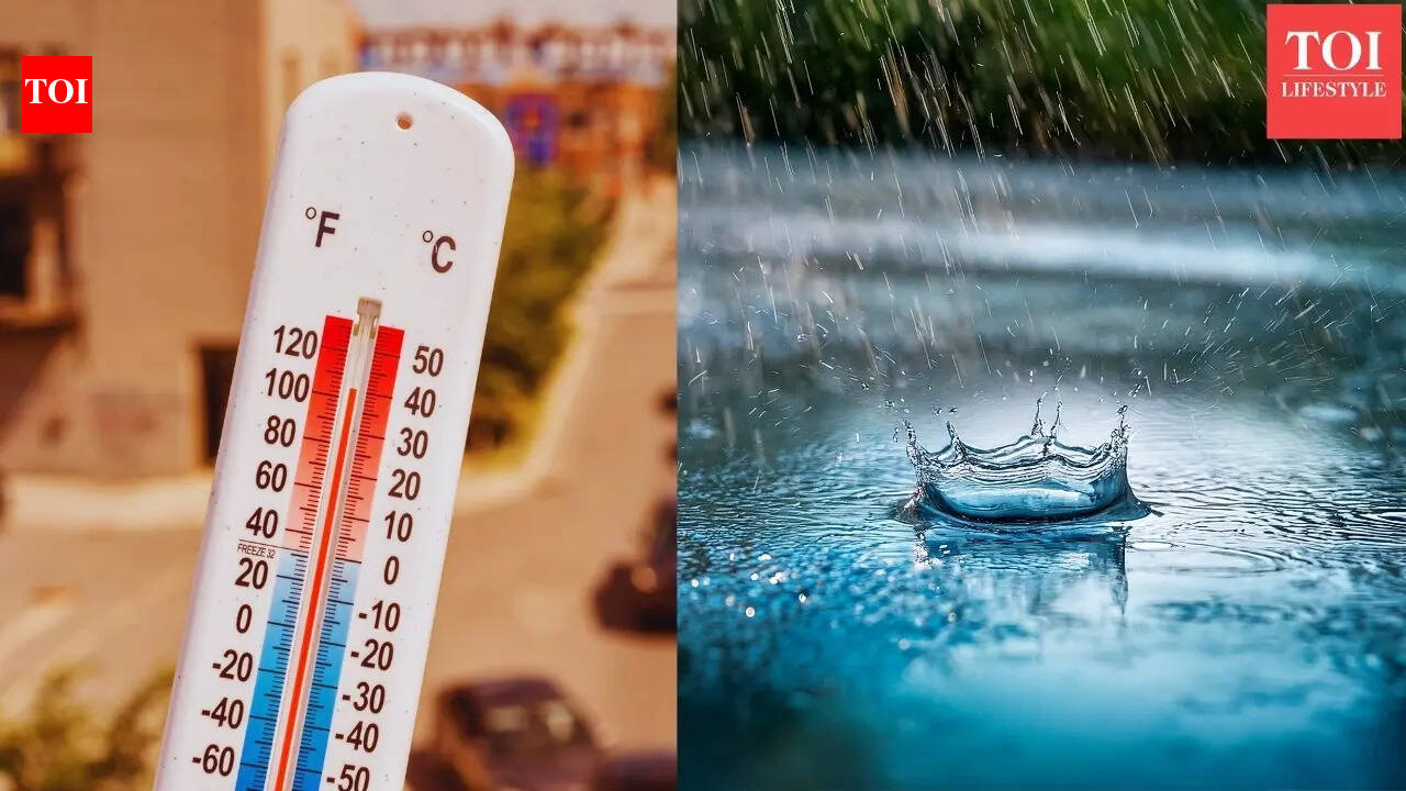 IMD forecasts monsoon rain in these south Indian states, and severe heat in north: What travellers need to know