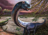 Meet Nagatitan: Southeast Asia's largest dinosaur who weighed as much as nine Asian elephants and was 27m in length