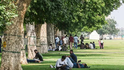 Trees cut extra city heat by half, but not quite where most needed