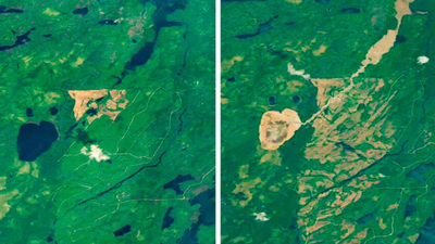 A Canadian lake shaped like a giant emoji suddenly vanished, satellites captured the moment