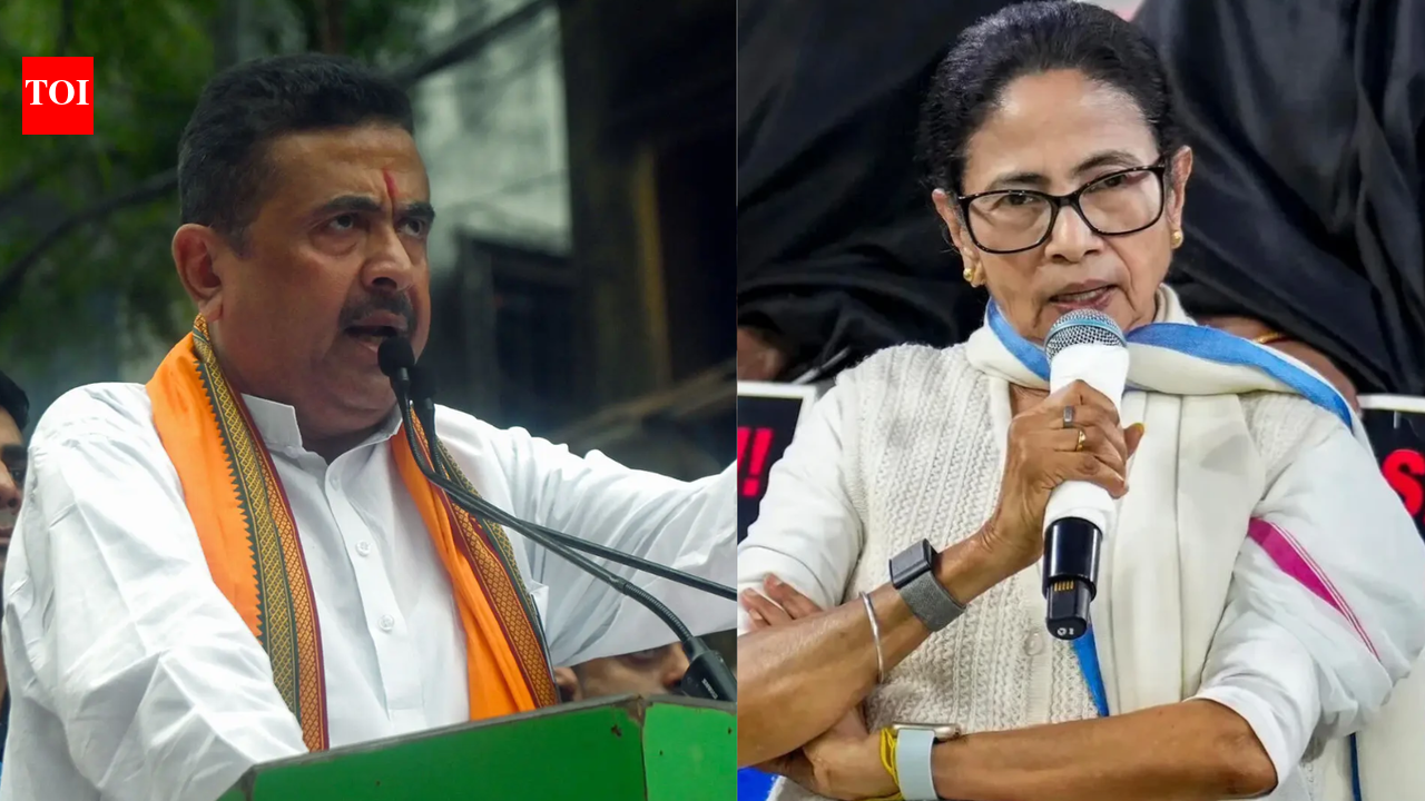 Suvendu govt forms panels to probe corruption, torture of women during Mamata's tenure