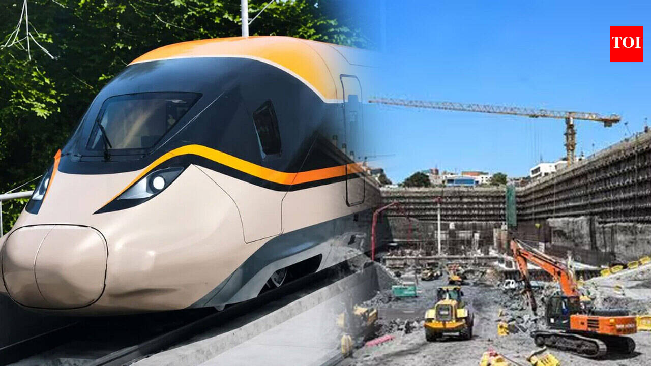 First Look Of India's Bullet Train Unveiled As Mumbai-Ahmedabad