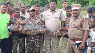 Crocodile rescued from well near Harur