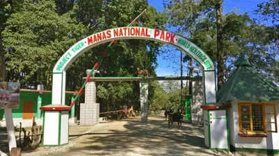 Manas park starts grassland revival to check habitat loss