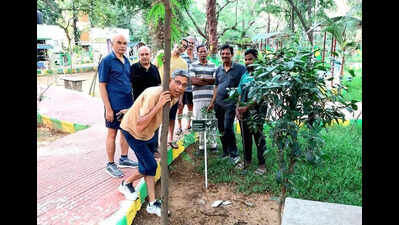 Residents tag flora using QR code, name boards in Indira Nagar park