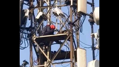 Youth climbs mobile tower demanding marriage in Giridih