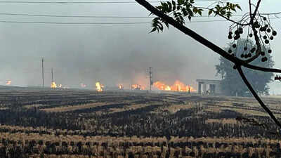 Farm fires: Punjab reports 115 new cases