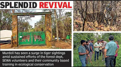 From Conflict Corridor To Tiger Stronghold: Murdoli Cynosure Of NNTR’s Success Story