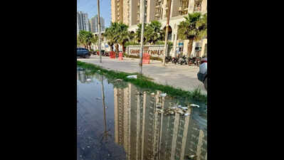 Sewage flows onto road in Siddharth Vihar, yet to be cleared after 3 weeks