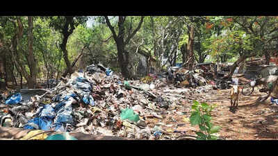 Encroachment waste threatens Gorewada forest ecosystem
