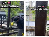 Indian man praises UK&rsquo;s Corporate Culture after a fun activity with the team