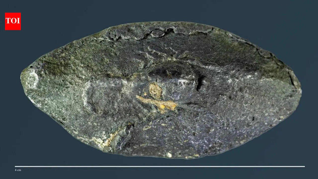 This ancient bullet carried a secret 2,100-year-old Greek word that shocked experts worldwide revealing ‘sarcastic’ war message