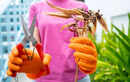 Plants that need pruning in May in India