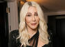 Quote of the day by Cher