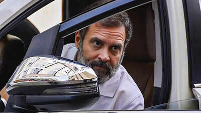  Rahul Gandhi warns of ‘economic storm’ after fuel price hike