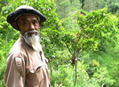 He sold his goats to buy tree seedlings and transformed barren hills into a forest: Meet Mbah Sadiman