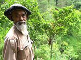 He sold his goats to buy tree seedlings and transformed barren hills into a forest: Meet Mbah Sadiman