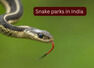 5 snake parks in India where travellers can spot rare and venomous species and how to reach them