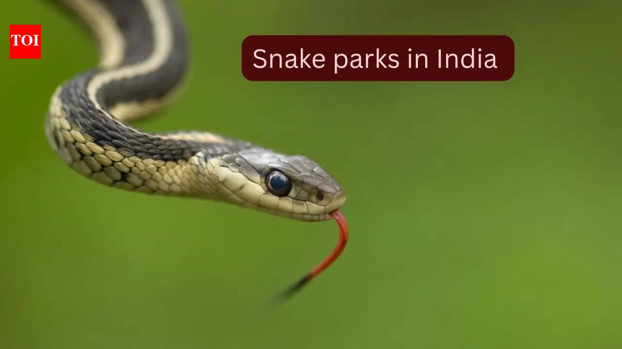 5 snake parks in India where travellers can spot rare and venomous species and how to reach them