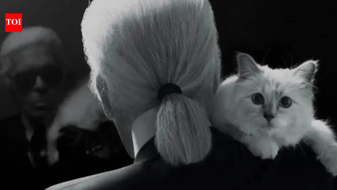 Meet the world's richest cat who is worth $200m dollars