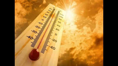 Brace for sultry days, evenings likely to be cooler: IMD
