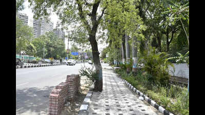 Swachh showcase or ecological setback? Activists warn BMC’s cementing of pavements breaches NGT directives