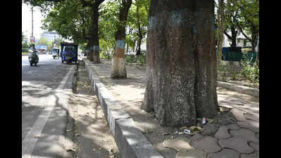 Swachh showcase or ecological setback? Activists warn BMC’s cementing of pavements breaches NGT directives