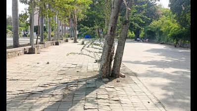 Swachh showcase or ecological setback? Activists warn BMC’s cementing of pavements breaches NGT directives