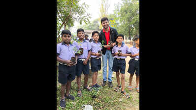 Pune to mark World Bee Day with sessions on conservation, coexistence and beekeeping